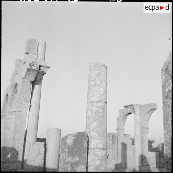 Ruines romaines de Timgad.