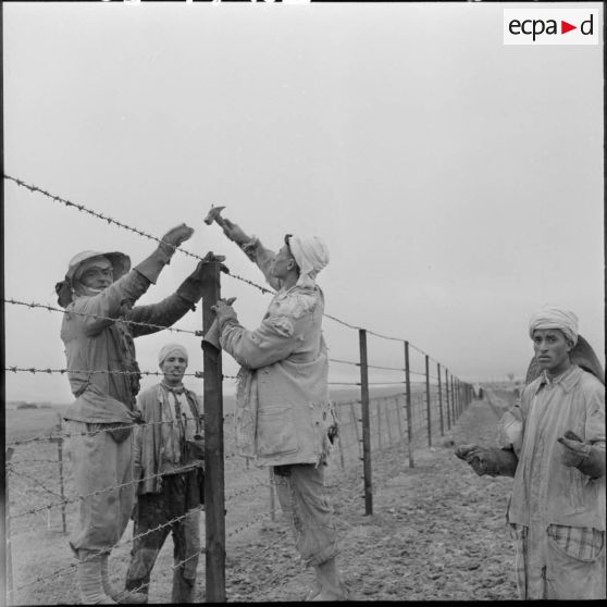 Ouvriers français-musulmans construisant le réseau de barbelés.