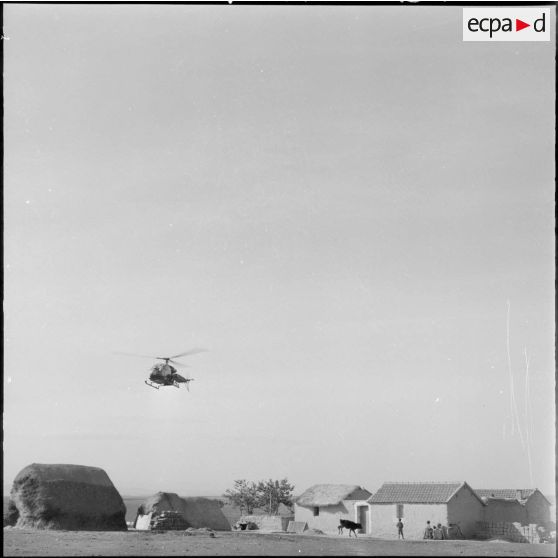 Deux brancardiers amènent à un hélicoptère de transport sanitaire (alouette II) un homme qui sera évacué à l'hôpital de Sétif.