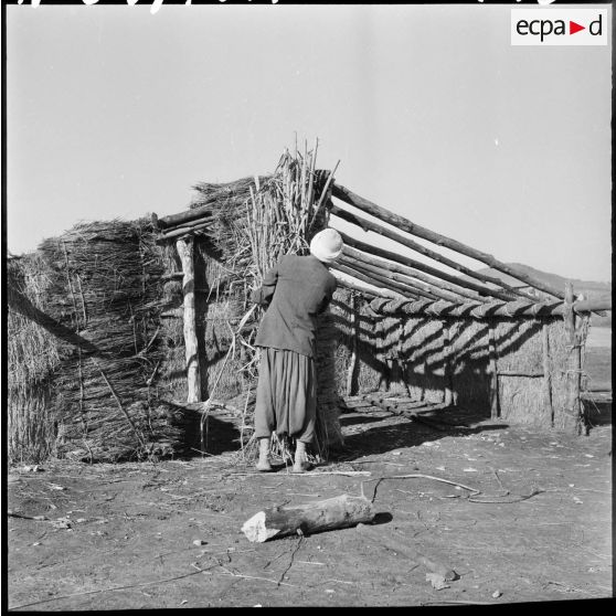 Construction provisoire d'un gourbi.