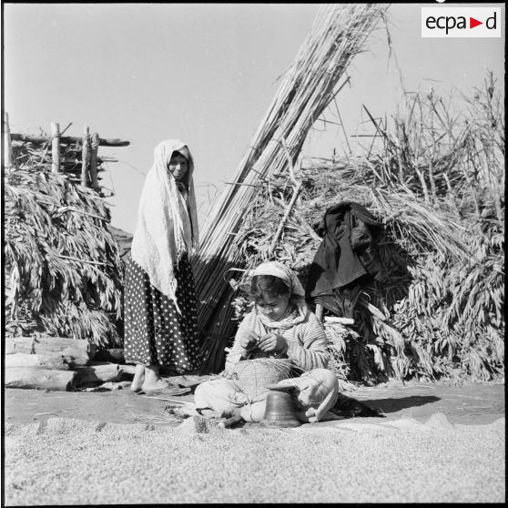 Femme confectionnant un panier en osier.