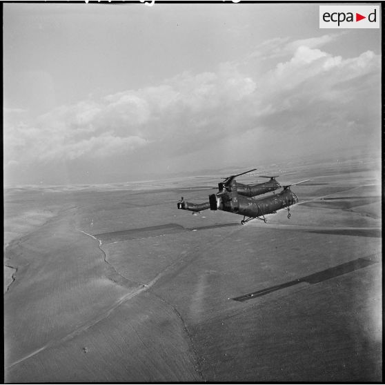 Vol en formation des hélicoptères de combat Piasecki H21C au-dessus de la vallée du Chélif.