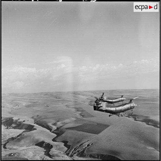 Vol en formation des hélicoptères de combat Piasecki H21C au-dessus de la vallée du Chélif.