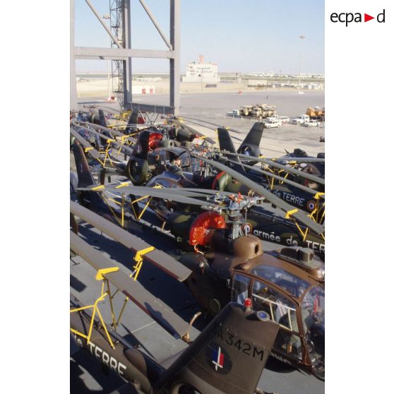 Sur la plage arrière du TCD (transport de chalands de débarquement) Foudre à quai à Yanbu sont alignés des hélicoptères de combat Gazelle de l'ALAT (aviation légère de l'armée de terre), pales repliées.