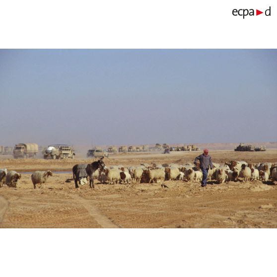 Convoi de véhicules du 11e RAMa (régiment d'artillerie de marine) sur la Tapline Road (trans-arabian pipeline).