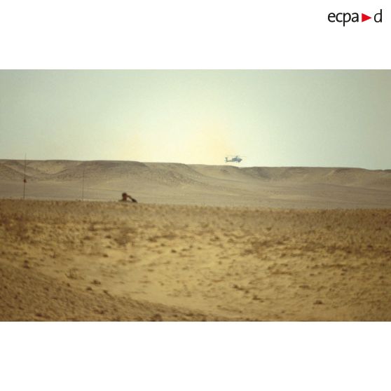 En ZDO (zone de déploiement opérationnel) Olive. Un blindé de reconnaissance AMX-10 RC du 1er RS (régiment de spahis) est posté en observation dans le désert dans les creux des dunes ne laissant dépasser que la tourelle.