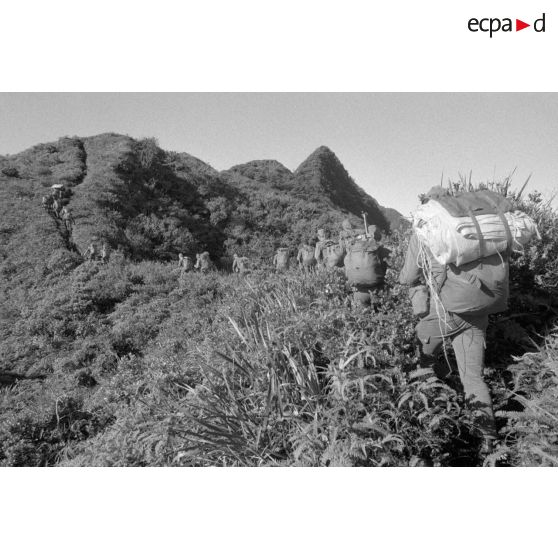 La troisième section de la première compagnie du régiment d'infanterie de marine de Polynésie (RIMaP) ouvre une piste entre l'Aorai et le Tamara à Tahiti.[Description]