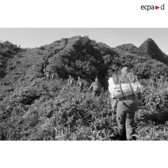 La troisième section de la première compagnie du régiment d'infanterie de marine de Polynésie (RIMaP) ouvre une piste entre l'Aorai et le Tamara à Tahiti.[Description]