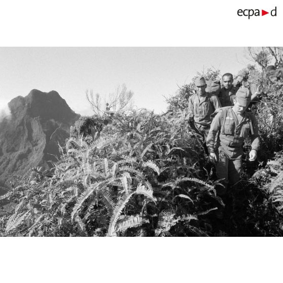 La troisième section de la première compagnie du régiment d'infanterie de marine de Polynésie (RIMaP) ouvre une piste entre l'Aorai et le Tamara à Tahiti.[Description]