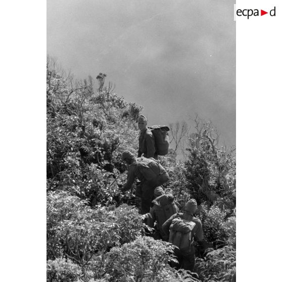 La troisième section de la première compagnie du régiment d'infanterie de marine de Polynésie (RIMaP) ouvre une piste entre l'Aorai et le Tamara à Tahiti.[Description]