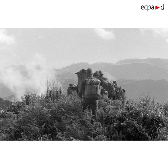 La troisième section de la première compagnie du régiment d'infanterie de marine de Polynésie (RIMaP) ouvre une piste entre l'Aorai et le Tamara à Tahiti.[Description]