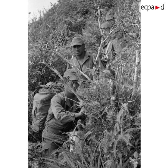 La troisième section de la première compagnie du régiment d'infanterie de marine de Polynésie (RIMaP) ouvre une piste entre l'Aorai et le Tamara à Tahiti.[Description]
