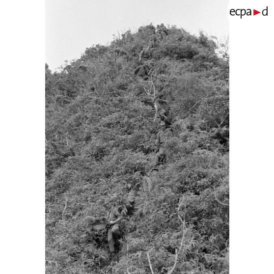 La troisième section de la première compagnie du régiment d'infanterie de marine de Polynésie (RIMaP) ouvre une piste entre l'Aorai et le Tamara à Tahiti.[Description]