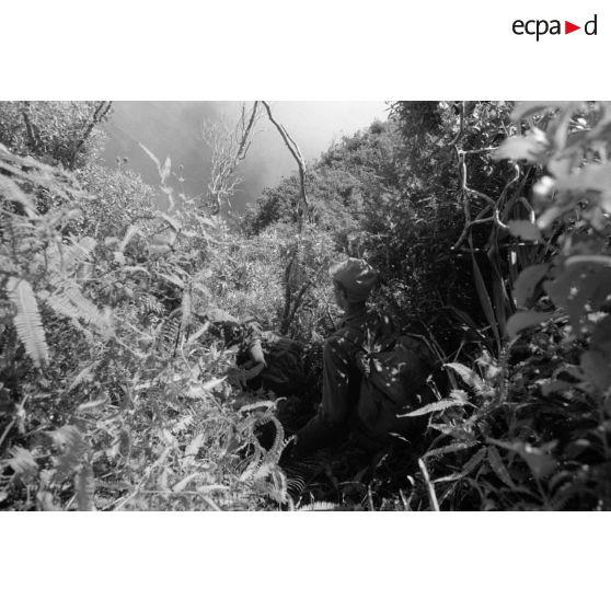 La troisième section de la première compagnie du régiment d'infanterie de marine de Polynésie (RIMaP) ouvre une piste entre l'Aorai et le Tamara à Tahiti.[Description]