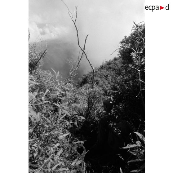 La troisième section de la première compagnie du régiment d'infanterie de marine de Polynésie (RIMaP) ouvre une piste entre l'Aorai et le Tamara à Tahiti.[Description]