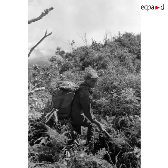 La troisième section de la première compagnie du régiment d'infanterie de marine de Polynésie (RIMaP) ouvre une piste entre l'Aorai et le Tamara à Tahiti.[Description]