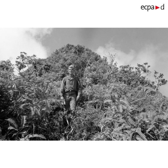 La troisième section de la première compagnie du régiment d'infanterie de marine de Polynésie (RIMaP) ouvre une piste entre l'Aorai et le Tamara à Tahiti.[Description]