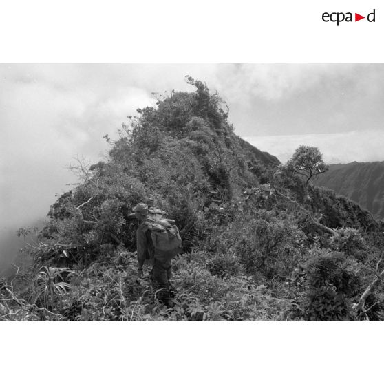 La troisième section de la première compagnie du régiment d'infanterie de marine de Polynésie (RIMaP) ouvre une piste entre l'Aorai et le Tamara à Tahiti.[Description]