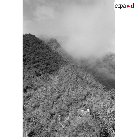 La troisième section de la première compagnie du régiment d'infanterie de marine de Polynésie (RIMaP) ouvre une piste entre l'Aorai et le Tamara à Tahiti.[Description]