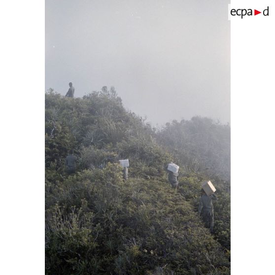 Sur l'Aorai à Tahiti, les vivres récupérés sont acheminés au bivouac et partagés entres les hommes. [Description en cours]