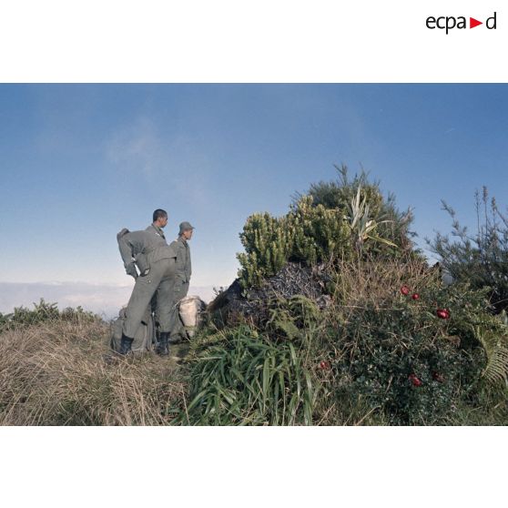 Sur l'Aorai à Tahiti, les vivres récupérés sont acheminés au bivouac et partagés entres les hommes. [Description en cours]