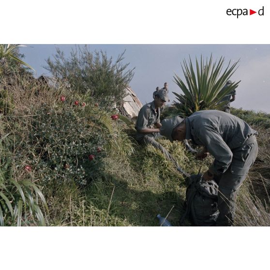 Sur l'Aorai à Tahiti, les vivres récupérés sont acheminés au bivouac et partagés entres les hommes. [Description en cours]