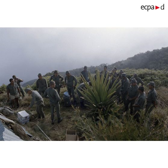 Sur l'Aorai à Tahiti, les vivres récupérés sont acheminés au bivouac et partagés entres les hommes. [Description en cours]