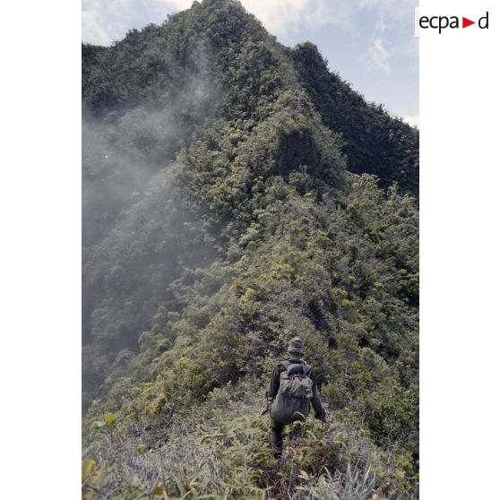 Ouverture d'une piste entre l'Aorai et le Taharaa par la 3e section de la 1ere compagnie du régiment d'infanterie de marine du Pacifique (RIMAP). [Description en cours]