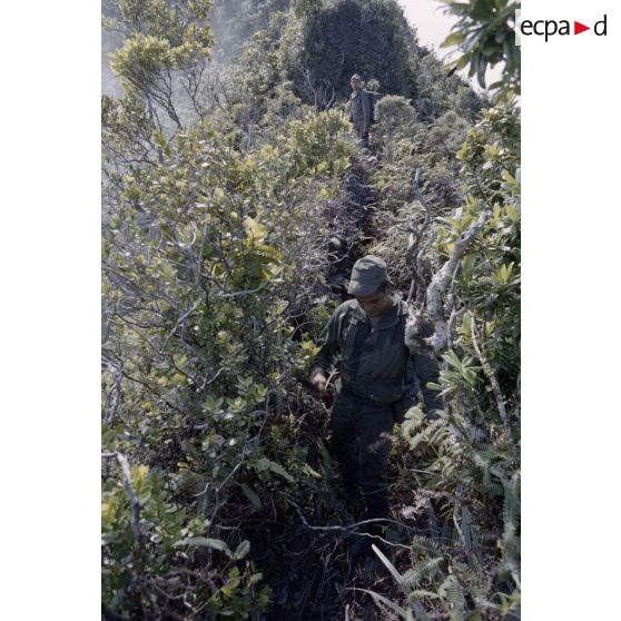Ouverture d'une piste entre l'Aorai et le Taharaa par la 3e section de la 1ere compagnie du régiment d'infanterie de marine du Pacifique (RIMAP). [Description en cours]