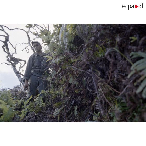 Ouverture d'une piste entre l'Aorai et le Taharaa par la 3e section de la 1ere compagnie du régiment d'infanterie de marine du Pacifique (RIMAP). [Description en cours]