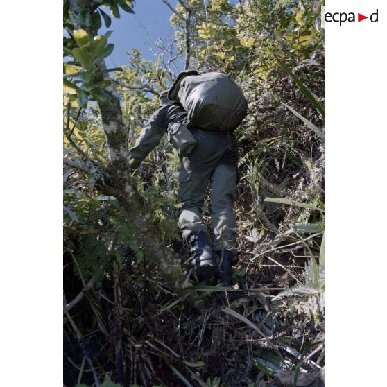 Ouverture d'une piste entre l'Aorai et le Taharaa par la 3e section de la 1ere compagnie du régiment d'infanterie de marine du Pacifique (RIMAP). [Description en cours]