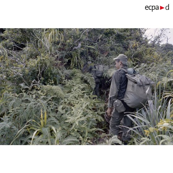 Ouverture d'une piste entre l'Aorai et le Taharaa par la 3e section de la 1ere compagnie du régiment d'infanterie de marine du Pacifique (RIMAP). [Description en cours]