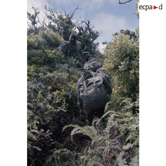 Ouverture d'une piste entre l'Aorai et le Taharaa par la 3e section de la 1ere compagnie du régiment d'infanterie de marine du Pacifique (RIMAP). [Description en cours]