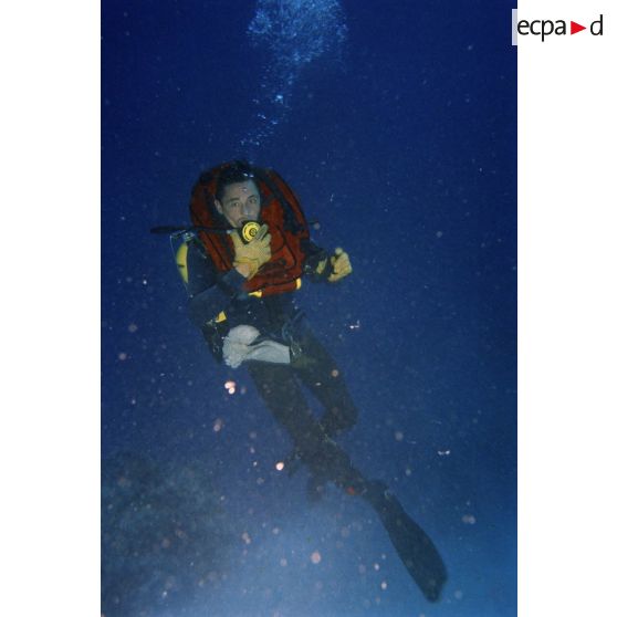 Plongée sous-marine de loisir à la découverte des fonds marins de Moruroa. [Description en cours]