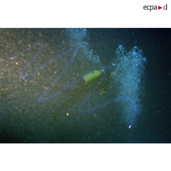 Plongée sous-marine de loisir à la découverte des fonds marins de Moruroa. [Description en cours]