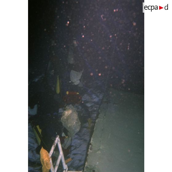 Plongée sous-marine de loisir à la découverte des fonds marins de Moruroa. [Description en cours]