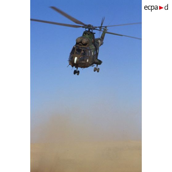 Aux alentours du CRK (camp du roi Khaled), un hélicoptère de transport Puma SA-330 en vol et au sol