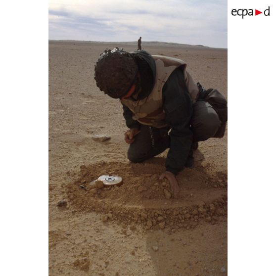 Entraînement au déminage d'une mine antichar par le 6e REG (régiment étranger du génie), lors d'un exercice près de la ZDO (zone de déploiement opérationnel) Olive, avant l'offensive terrestre.