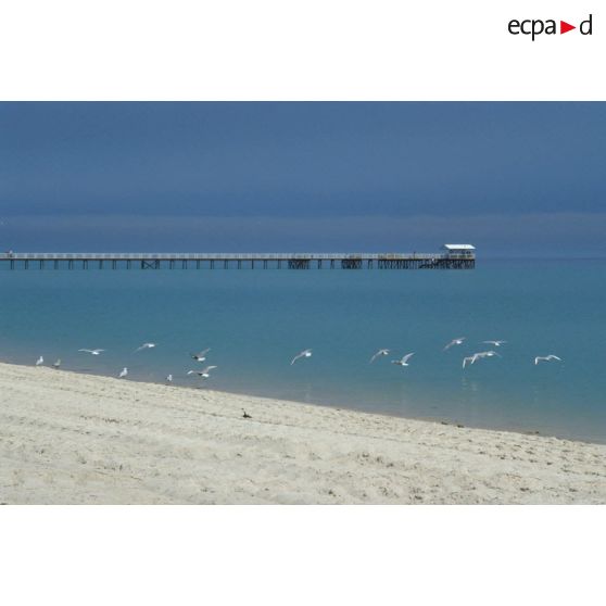 Première plage déminée par les militaires français à Koweit City.