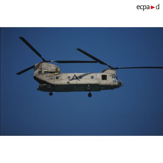 Hélicoptère d'assaut Boeing Vertol CH-47 Chinook américain en vol.