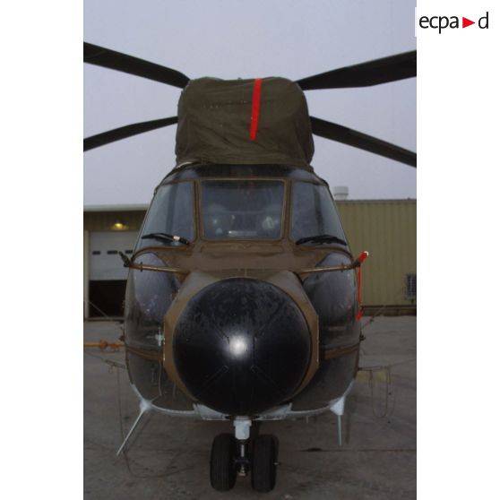 Nez d'un hélicoptère de transport Puma Orchidée (observatoire radar cohérent héliporté d'investigation des éléments ennemis) au sol.