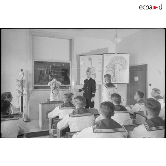 Au sein d'une école navale de la marine allemande, un cours d'anatomie, ici l'appendice.