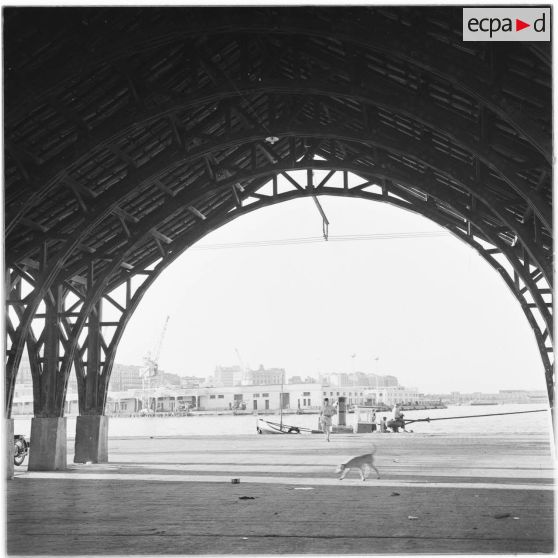 Vue du port d'Alger.