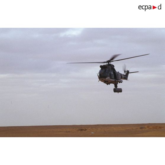 Un hélicoptère de transport Puma Orchidée (observatoire radar cohérent héliporté d'investigation des éléments ennemis) survole le désert saoudien.