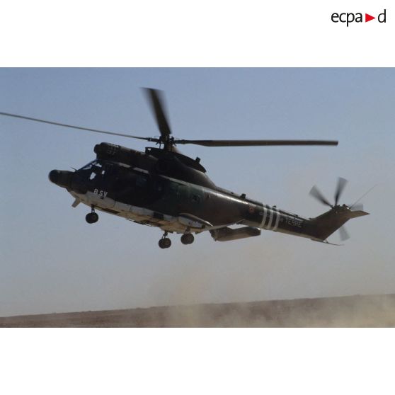Un hélicoptère de transport Puma Orchidée (observatoire radar cohérent héliporté d'investigation des éléments ennemis) au décollage pour un survol du désert saoudien.