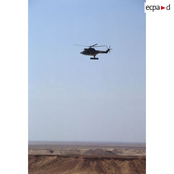 Un hélicoptère de transport Puma Orchidée (observatoire radar cohérent héliporté d'investigation des éléments ennemis) survole le désert saoudien.