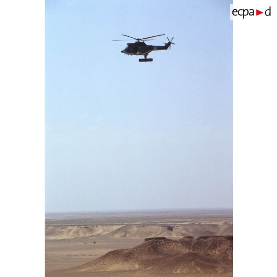 Un hélicoptère de transport Puma Orchidée (observatoire radar cohérent héliporté d'investigation des éléments ennemis) survole le désert saoudien.