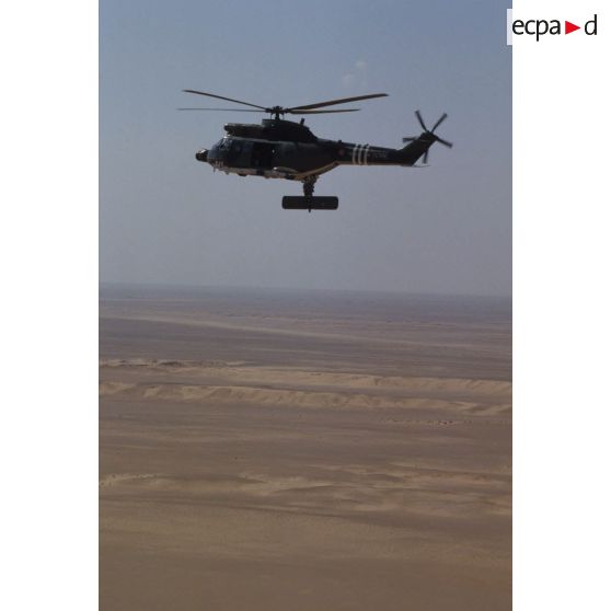 Un hélicoptère de transport Puma Orchidée (observatoire radar cohérent héliporté d'investigation des éléments ennemis) survole le désert saoudien.