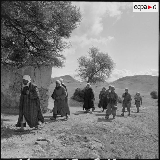 Arrestation d'Algériens lors d'une opération du 110e régiment d'infanterie motorisée (RIM) à Maazia.