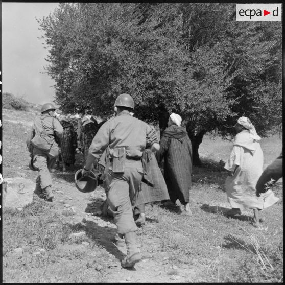 Arrestation de suspects algériens dans le djebel de Maazia lors d'une opération du 110e régiment d'infanterie motorisée (RIM).